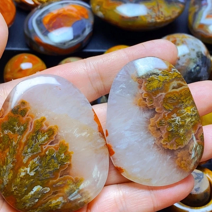 陈***前玛瑙/玉髓颈饰未镶嵌