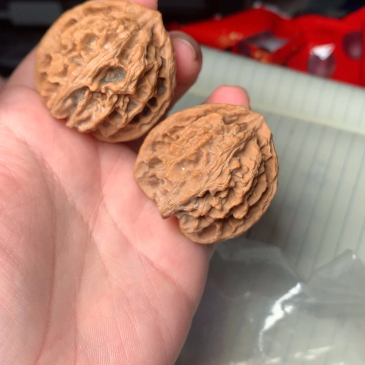 9号38尺寸全品苹果园