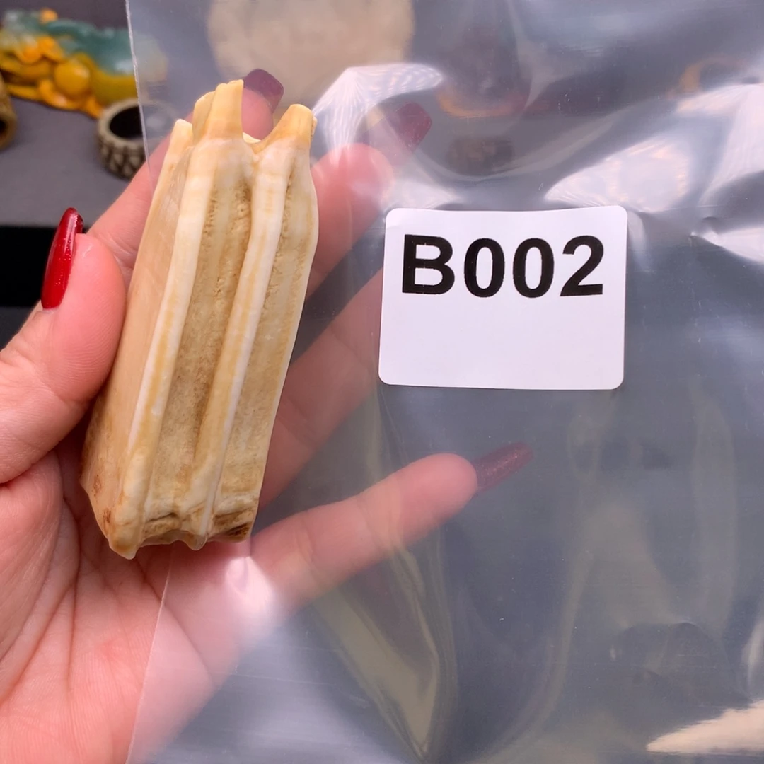 驼骨其他展**来好看又好玩