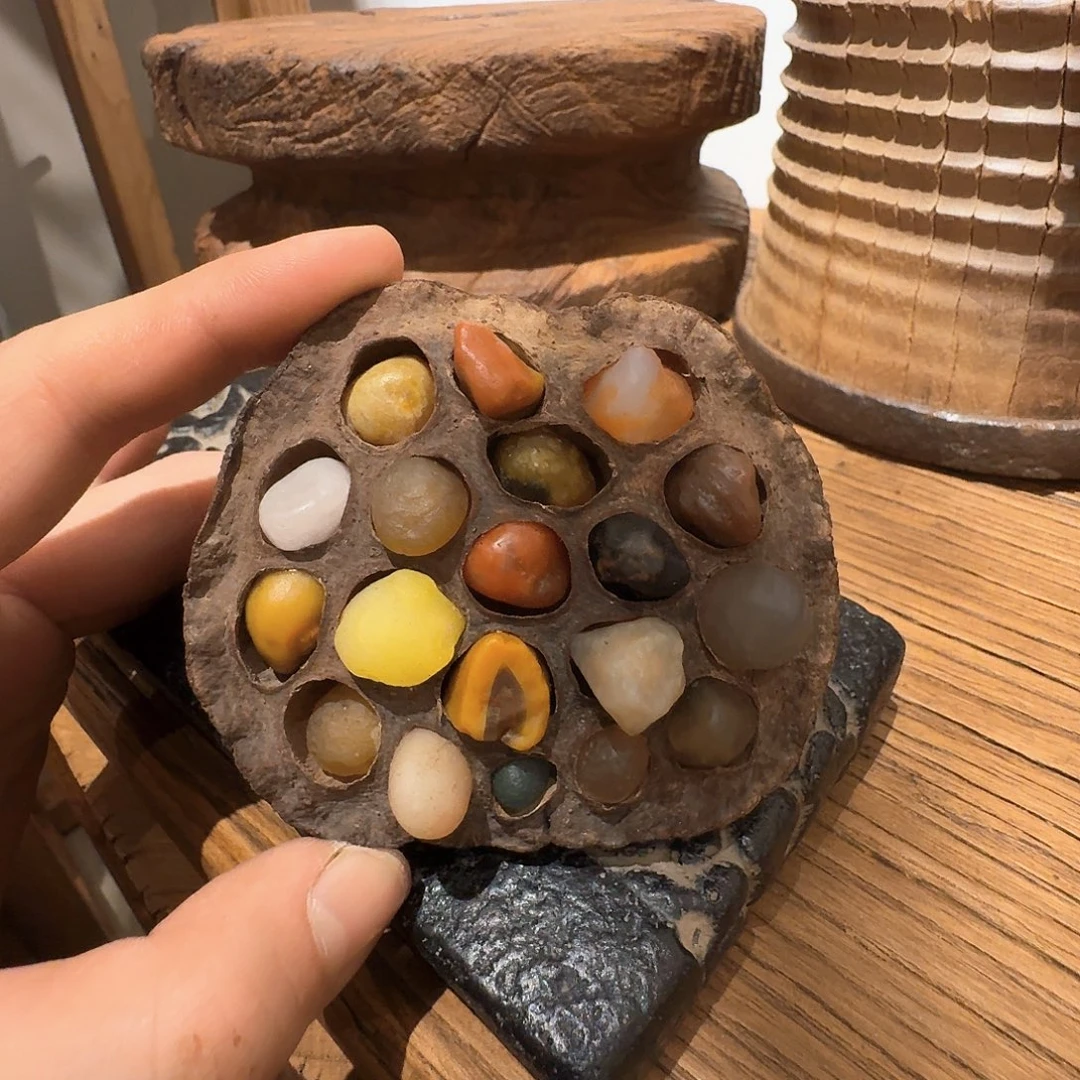 老了就不想了吗我的天