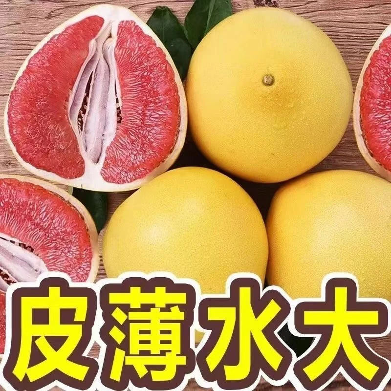 礼盒海南三红蜜柚红心柚子当季新鲜水果孕妇水果皮薄肉厚现采现摘
