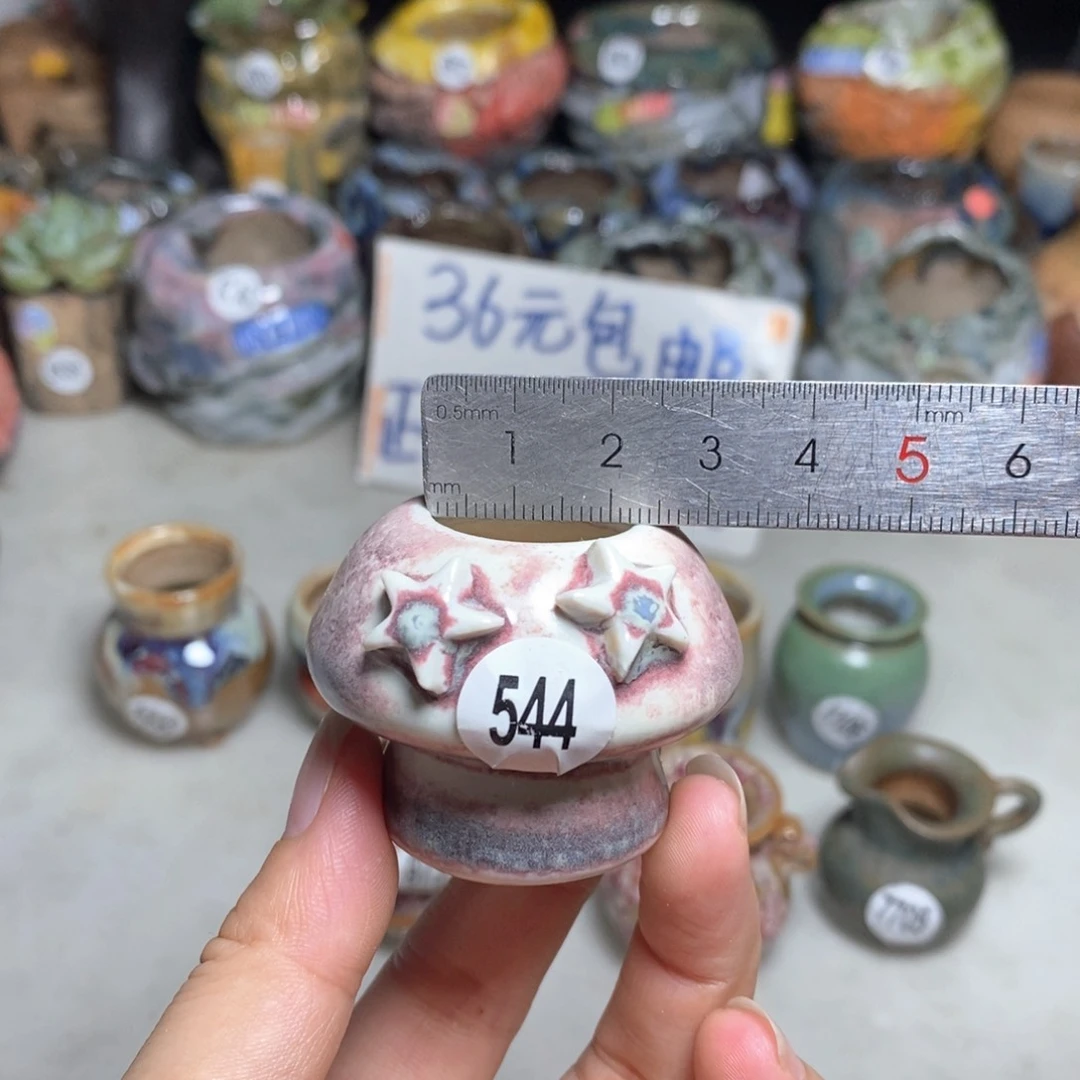 拍5送一个小礼物