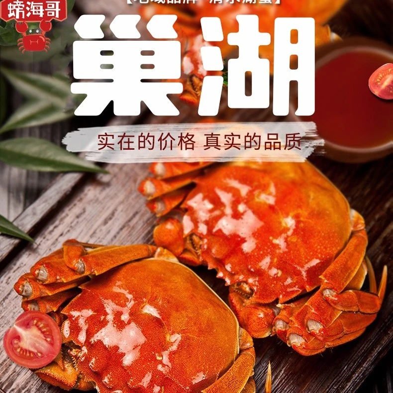 巢湖螃蟹[挑膏活蟹]全母蟹3.2两-2.9两8只10只装绑特大号礼盒装