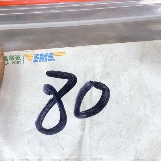 狼***下滴血莲花菩提吊坠