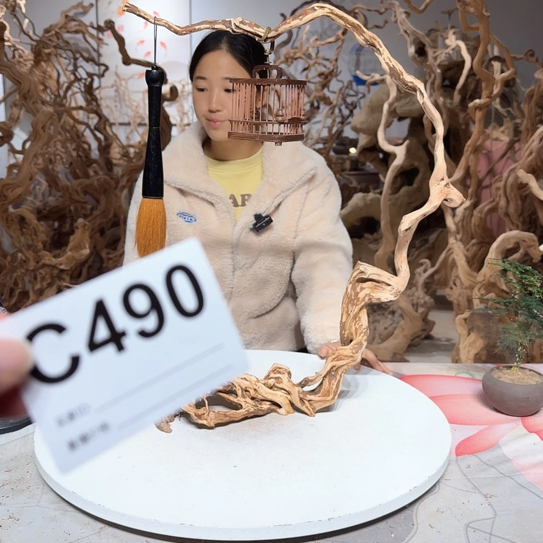 风车木（黑檀木）三****）