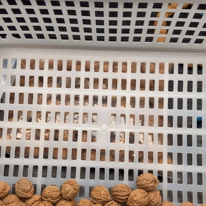 私人订制，不退不换60米