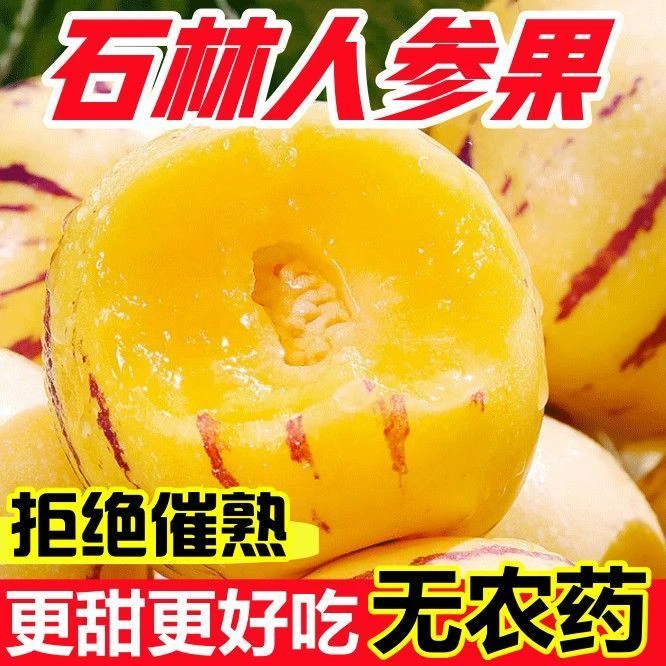 【主播专属2】云南石林人参果树熟净重3/5斤低糖水果清甜可口