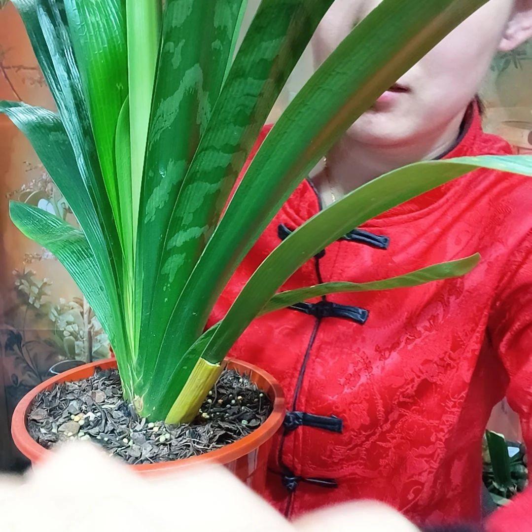 完全开放111111111111111