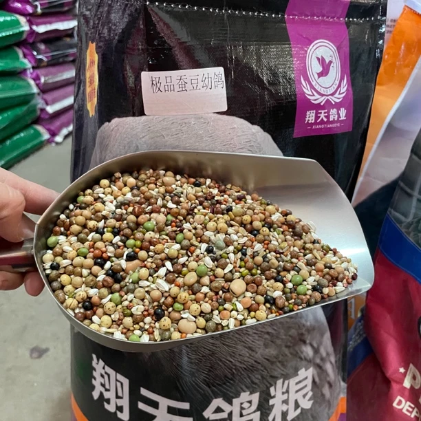 翔天及品蚕豆幼鸽粮信鸽赛鸽鸽粮饲料