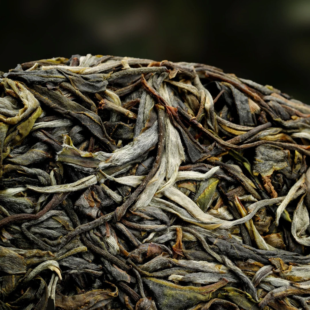 紫云祥2025年布朗森林狠角色古树头春生茶