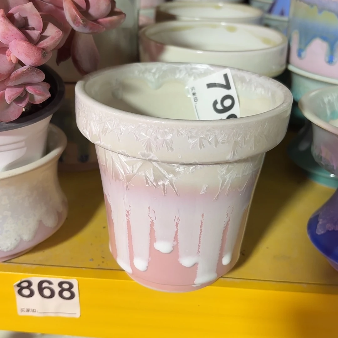 景德镇多肉花盆799