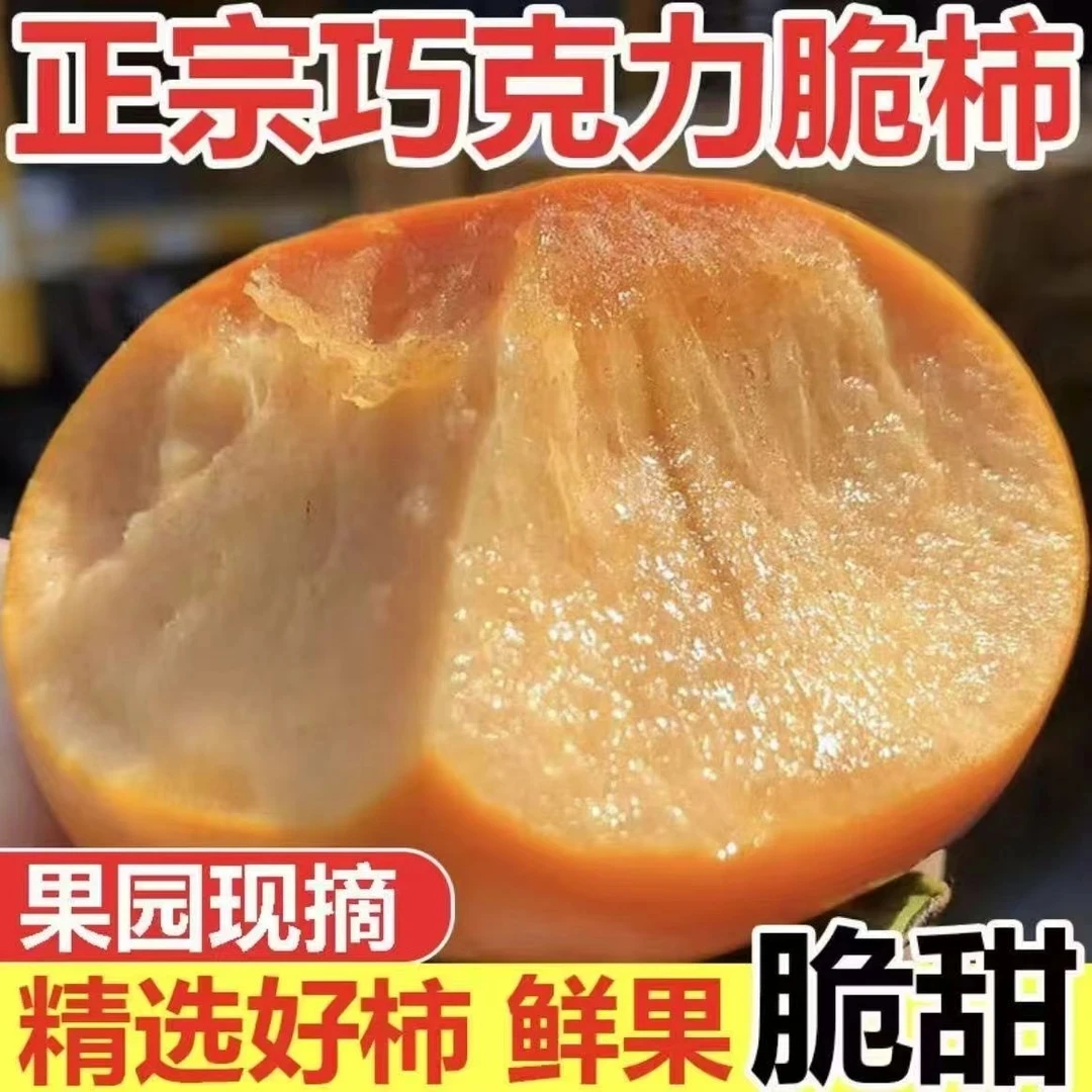 【5斤】冰糖心巧克力阳丰脆柿子2025年新鲜采摘香甜多汁不涩无籽