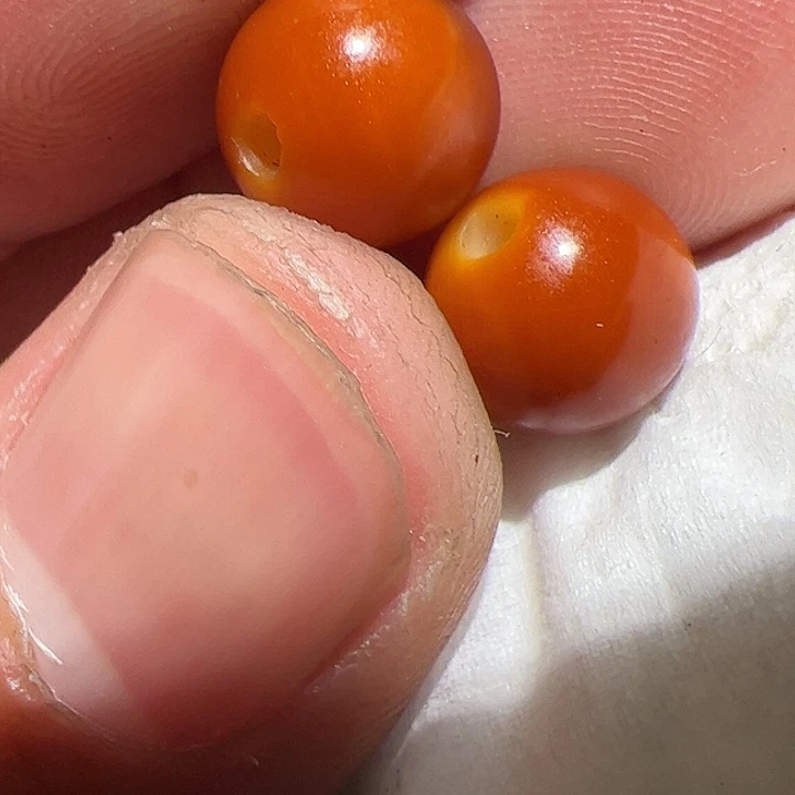 香榧木你的时候你