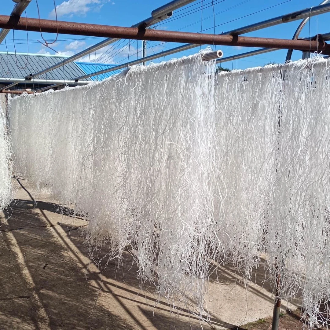 内蒙特产手拍宽粉袋装土豆粉粉丝宽粉粉条