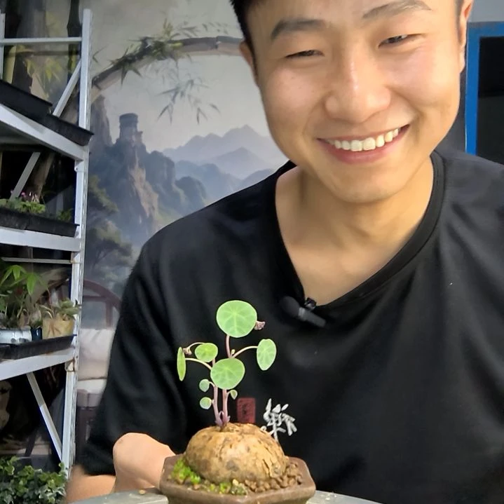 毕*线中青园艺一物一拍280