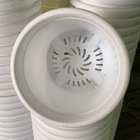 树脂四季3号纯白无托10个