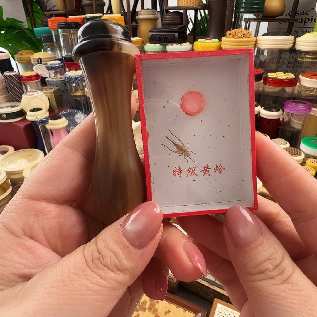 曲***馍哈哈哈牛角黄铃筒➕大黄蛉