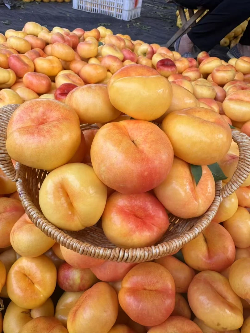 山东蒙阴紫霞油蟠桃彩虹油蟠桃芒果蟠桃新鲜夏日尝鲜水果