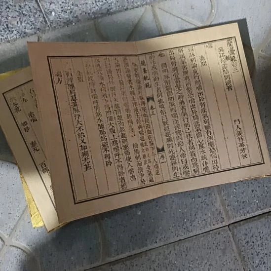 海***哥树一套000000000000