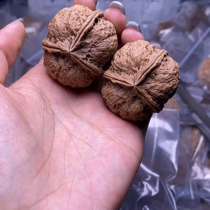 核桃云南野生铁核桃32号41mm
