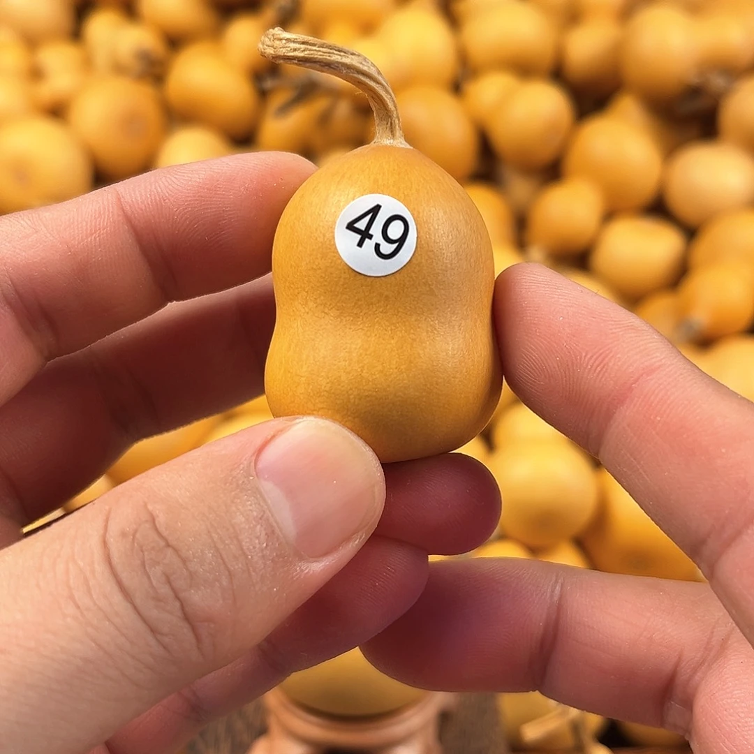 四葫芦葫芦葫芦葫芦49