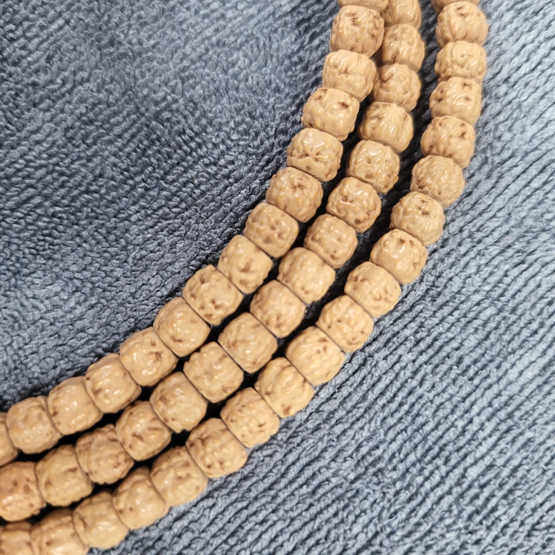 【佛手五爪金龙·念初】菩提小金刚