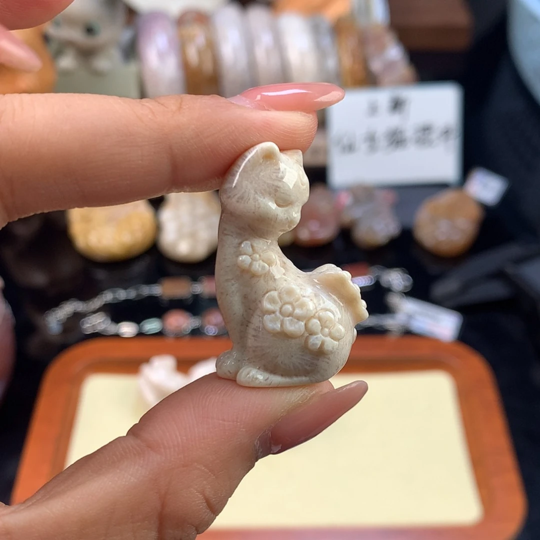 【闪购商品】硅化珊瑚（珊瑚玉）未镶嵌颈饰19号上新仙女猫摆件
