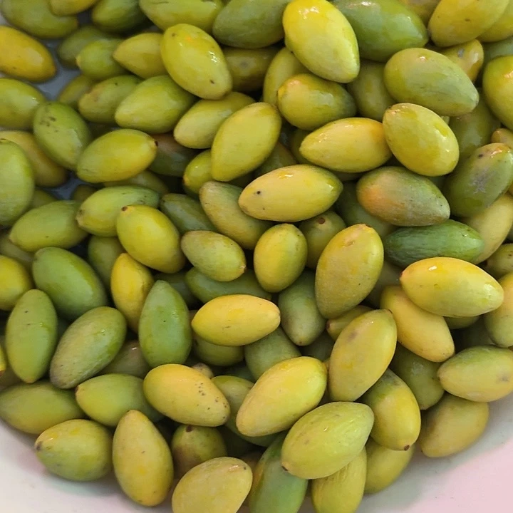 梦***魁青榄生榄五斤黄榄