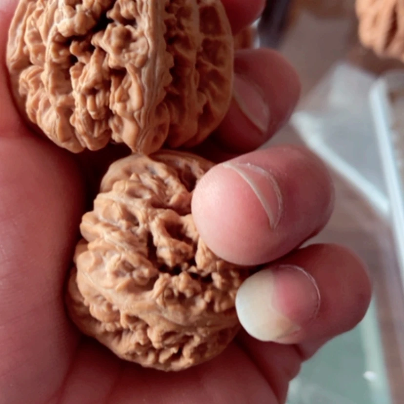 【闪购商品】一****己全品无修大粗筋41尺寸