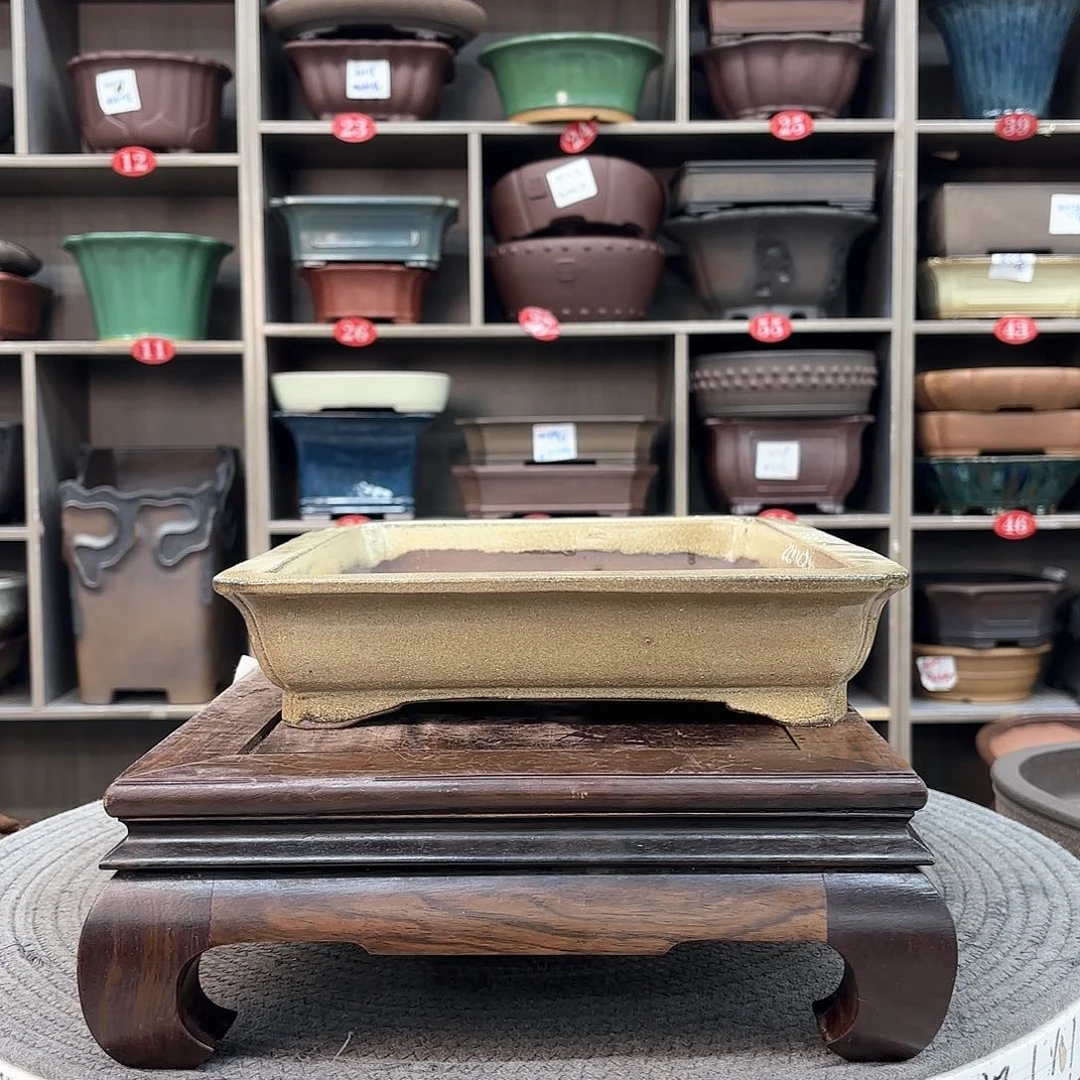 紫砂花盆叶****室紫砂的颜色很好看