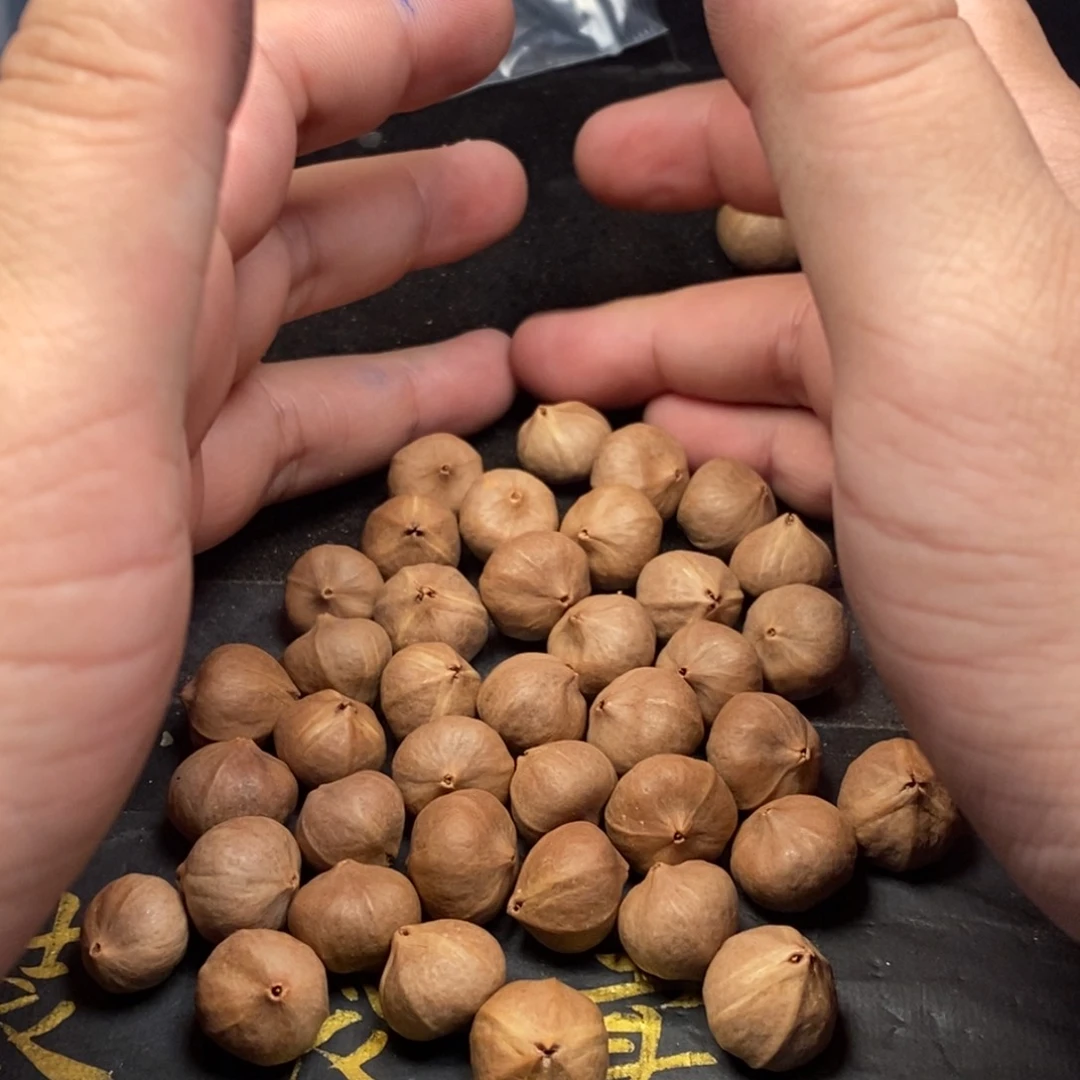 ****丶橄榄核手串/手链1