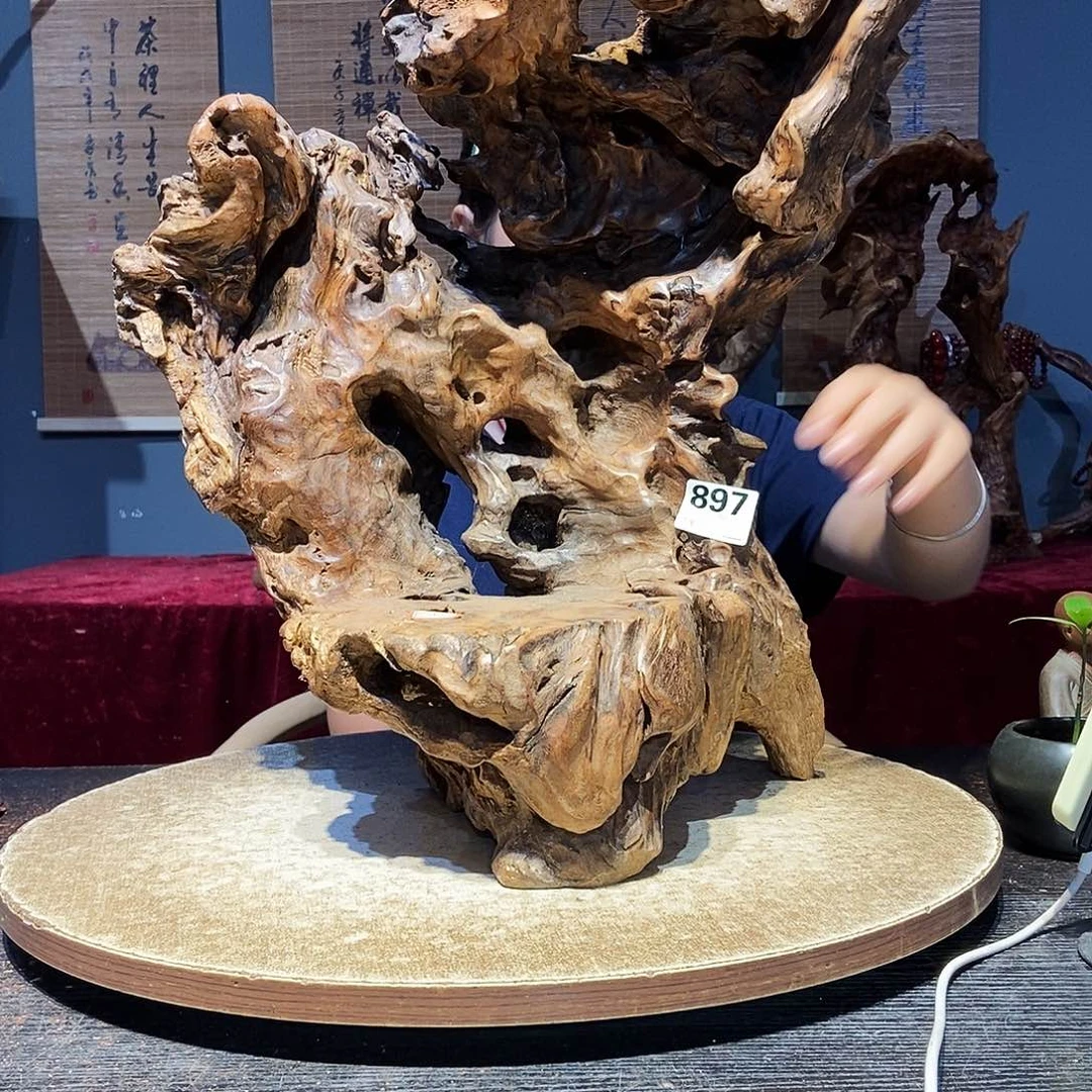国***种897株木随行的小根艺