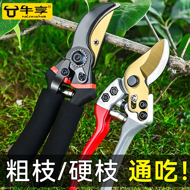 园艺剪修剪果树树篱笆专用剪子花艺修枝园林锋利耐用粗树枝剪刀