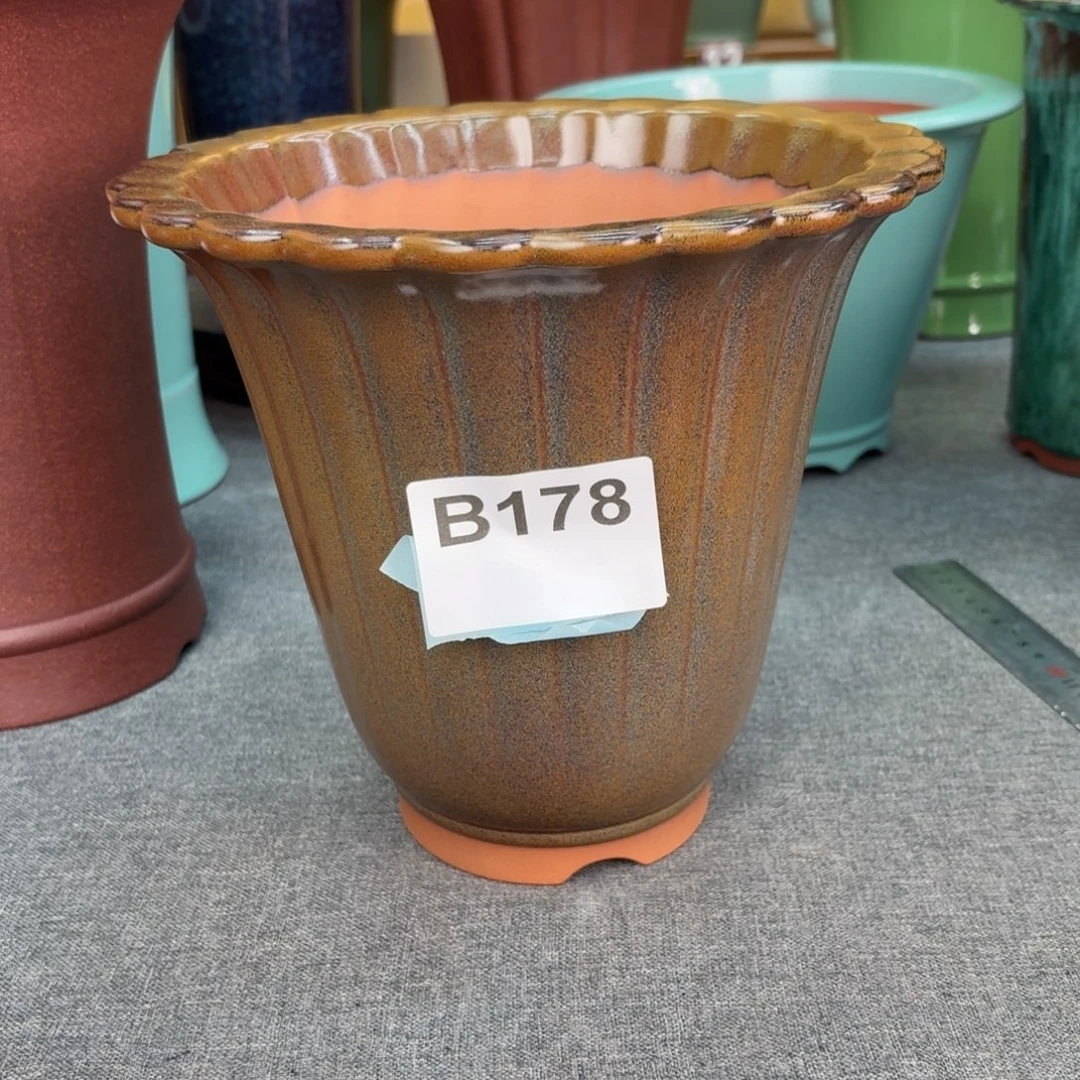 冰***紫砂花盆兰花258558958