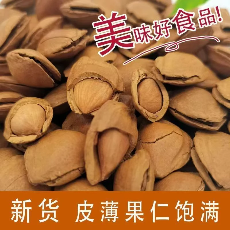 新货开口杏核带壳大杏仁熟手剥坚果休闲小吃干果零食原味净重