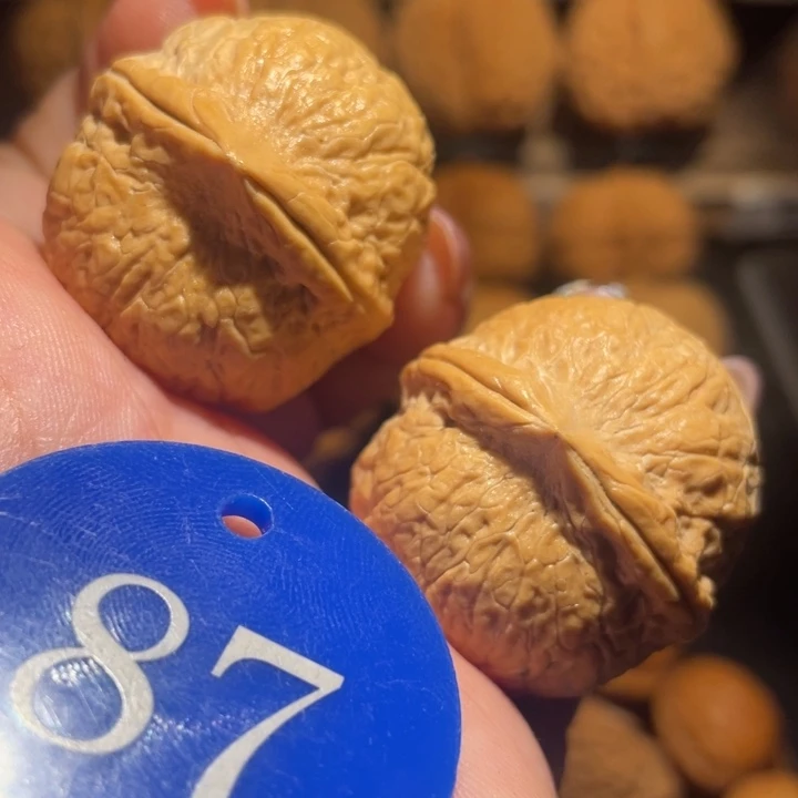 蛇皮龙珠核桃尺寸34