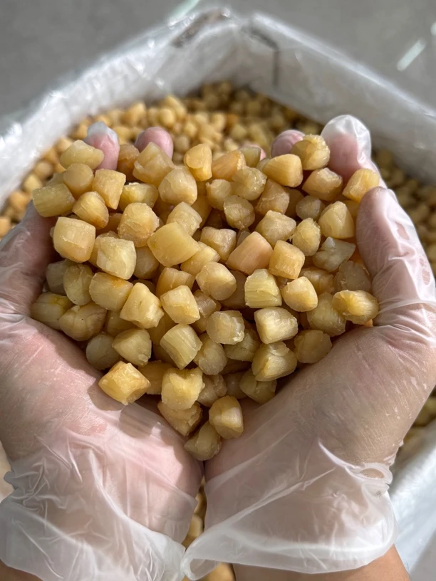 福建特产野生大号干贝瑶柱海鲜干货250g500g
