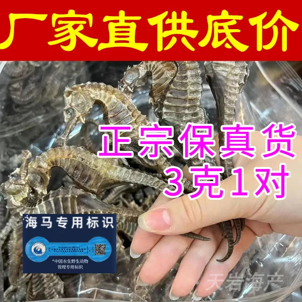 【公母配对】正品5A海馬海龙泡酒煲汤料搭配田七滋补汤料干货海一对