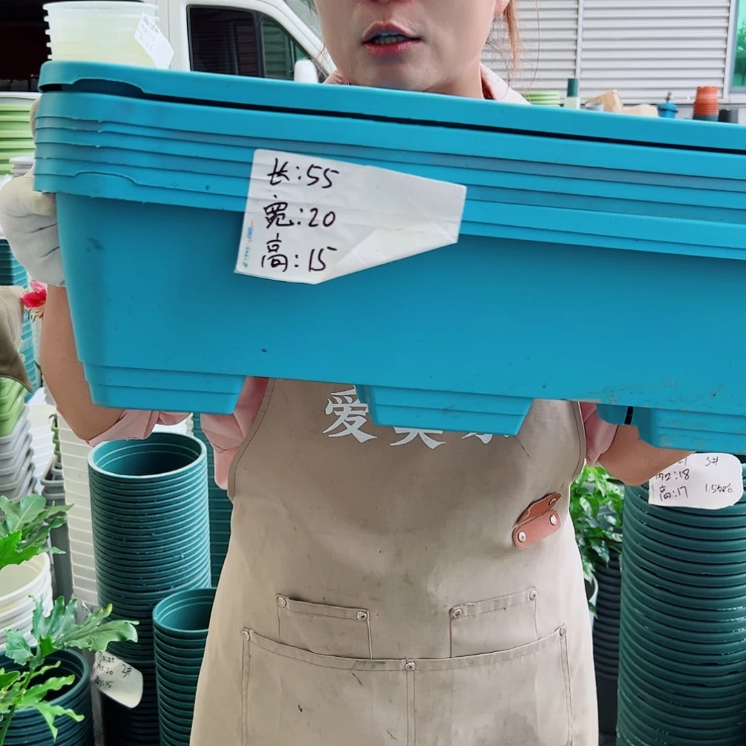 瑕疵菜盆长55#蓝色5个无托