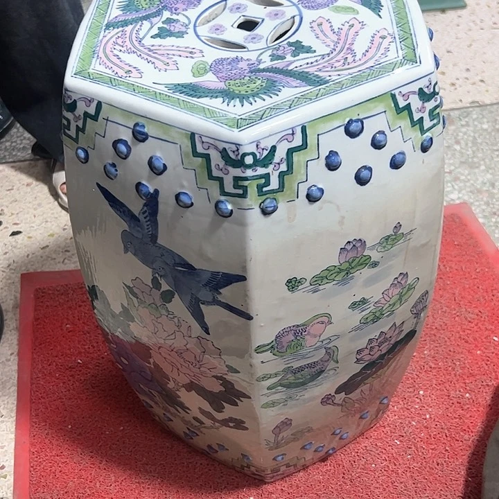 红陶鱼*。。。。。。。。。。。。