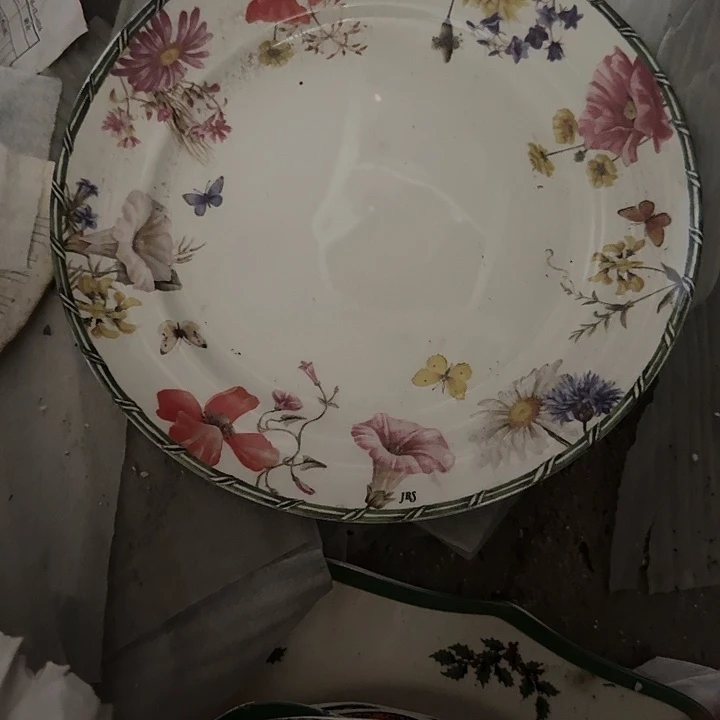 东***库蝴蝶10寸盘子两个