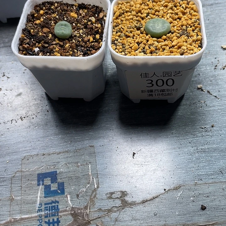 彦****这种人的感觉是很容易300