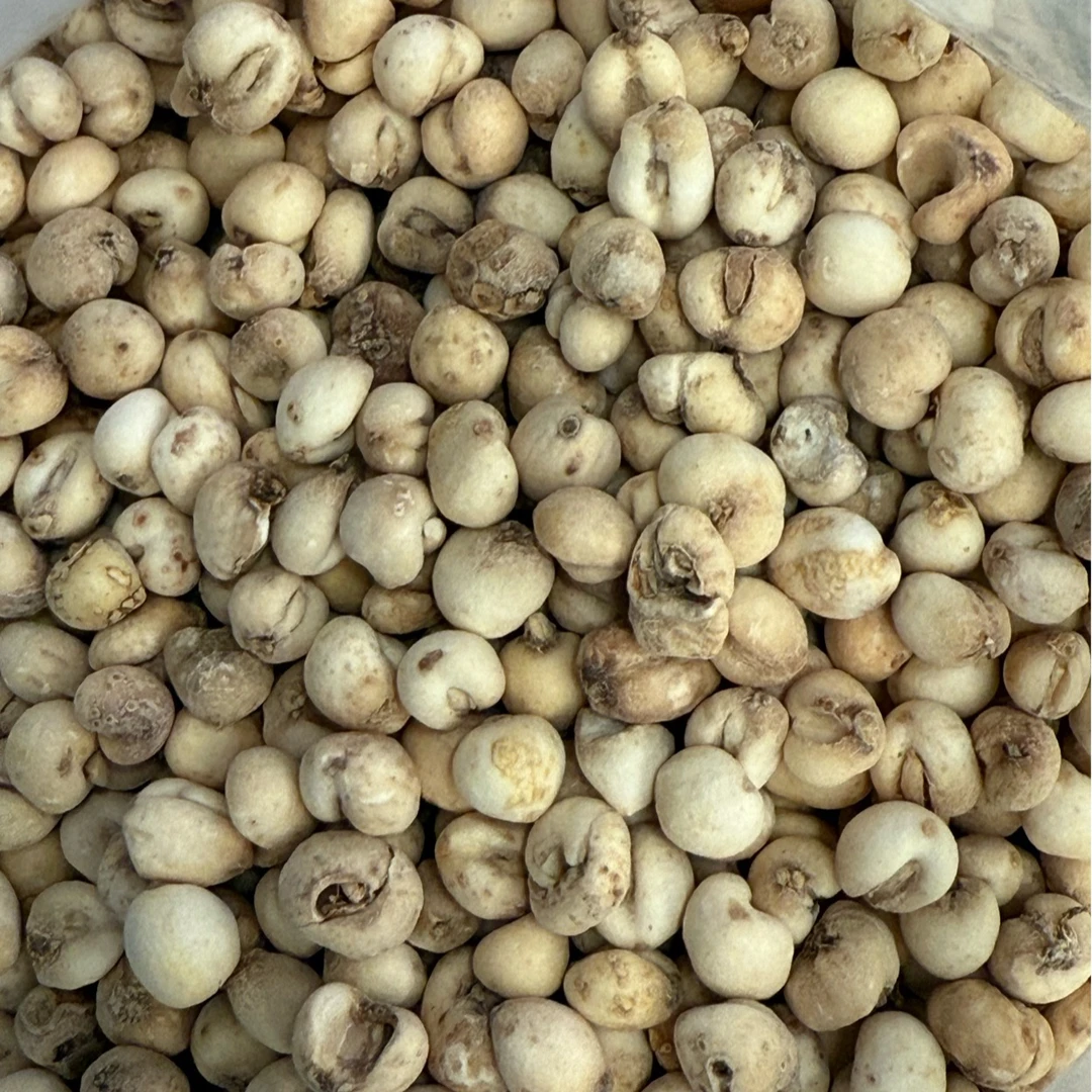 高原无硫贝母干中药材正宗贝母拍二发三