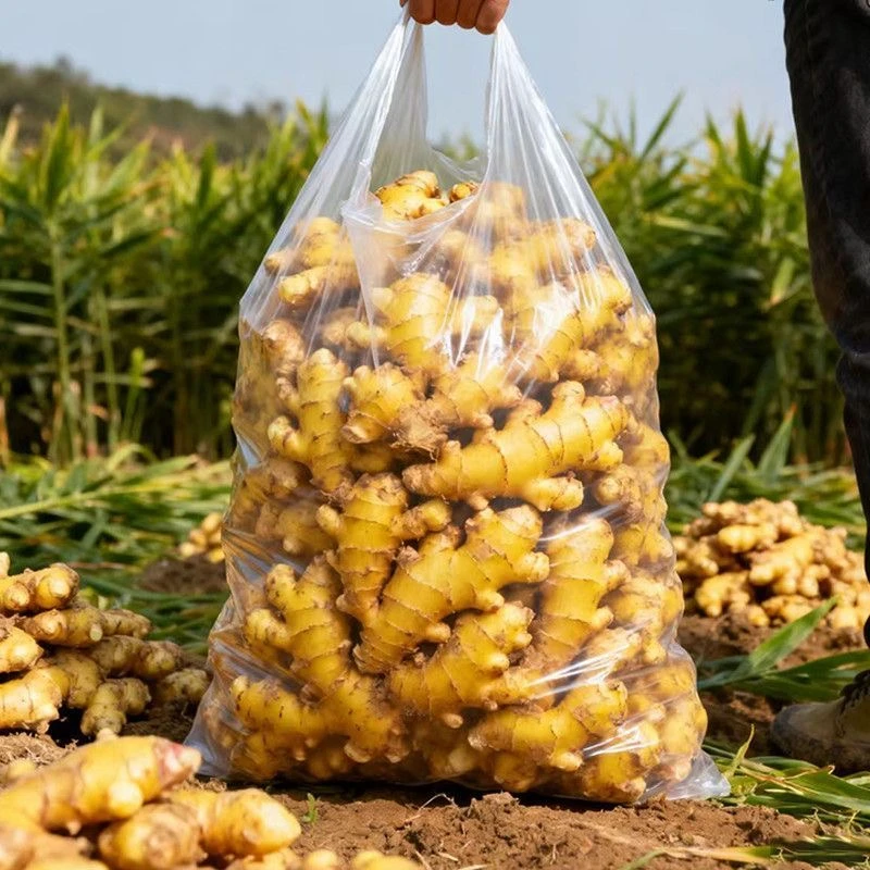 [助力]正宗江西小黄姜生姜批发现挖新鲜蔬菜整箱5斤