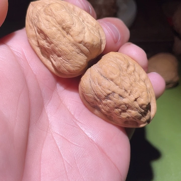 N***g精品京西金蟾核桃核桃