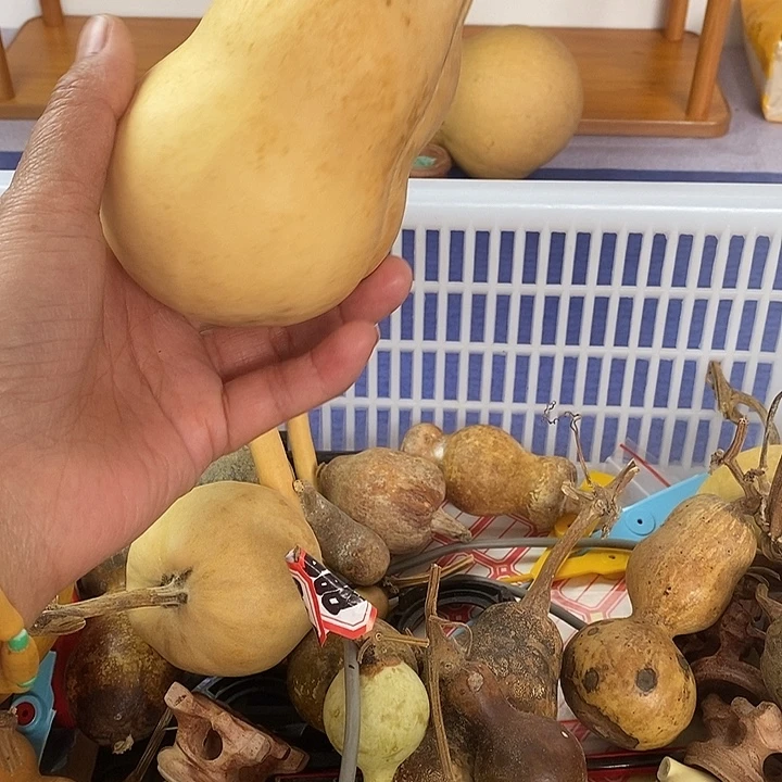 E***a葫芦手把件葫芦摆件猪