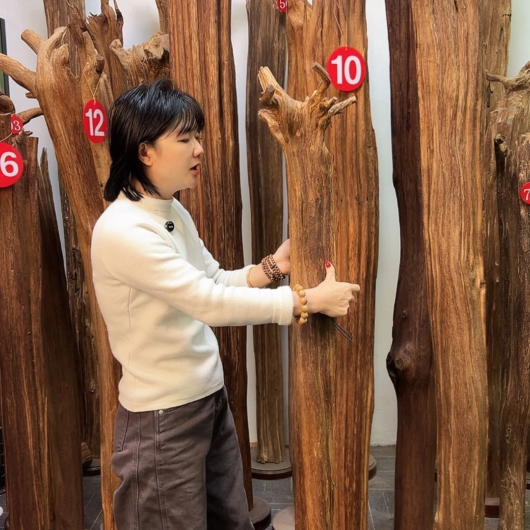 沉香沉香碎屑天然沉香原料香料