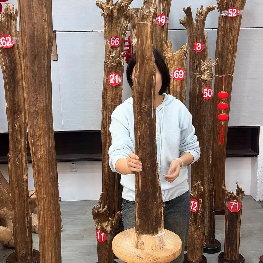 沉香摆件海南沉香摆件