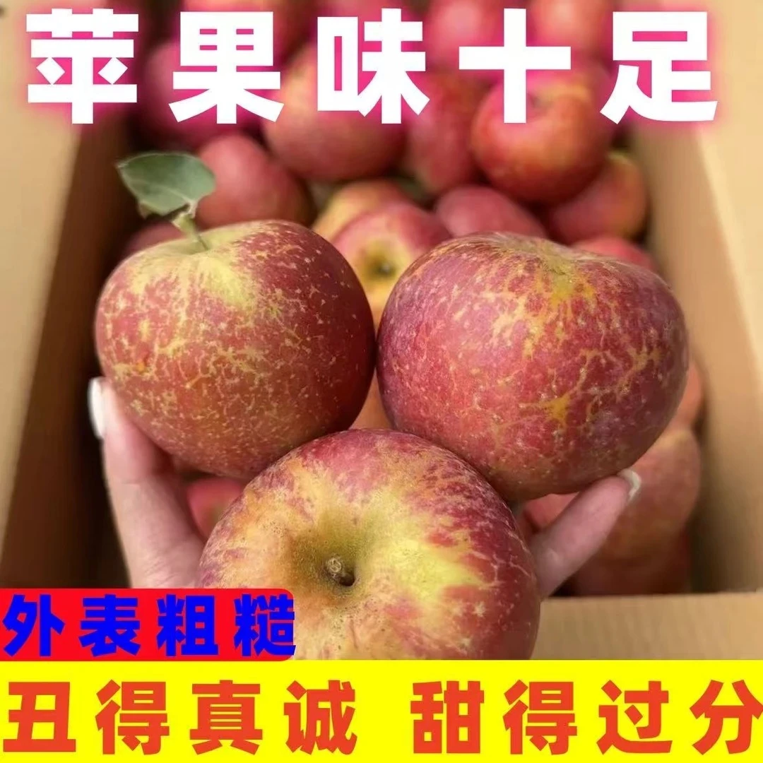 LC 正宗大凉山盐源丑苹果新鲜现摘脆甜多汁当季水果直发