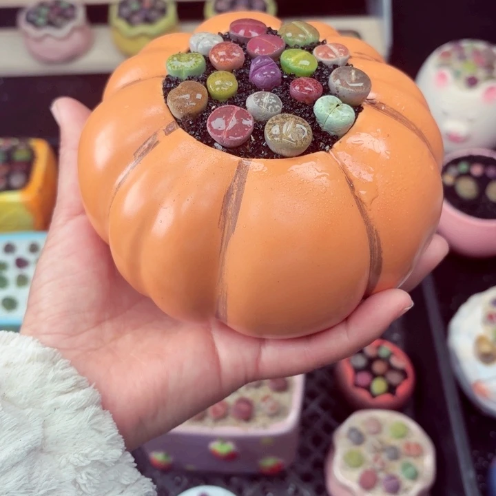 6012零下地区记得拍保温箱满18包邮